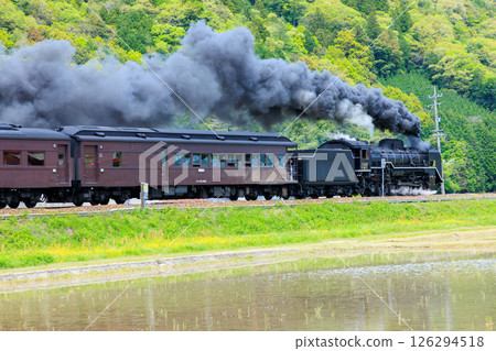 山口縣山口市初夏的長島峽和SL山口D51的風景 126294518