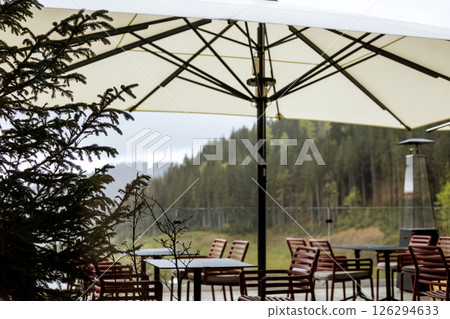 Outdoor patio with tables and chairs under a large umbrella with a view of forest scenery. A fir tree in the foreground and a forest background. 126294633
