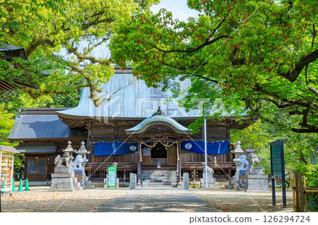 Spring at Yotohime Shrine, Saga City, Saga Prefecture Spring at Yotohime Shrine, Saga City, Saga Prefecture 126294724