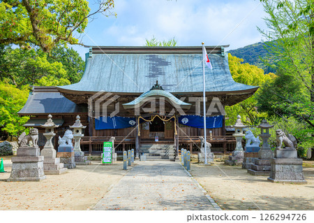 Spring at Yotohime Shrine, Saga City, Saga Prefecture Spring at Yotohime Shrine, Saga City, Saga Prefecture 126294726