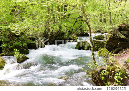 青森縣阿舒拉溪，鮮綠的奧入瀨溪流 126294825