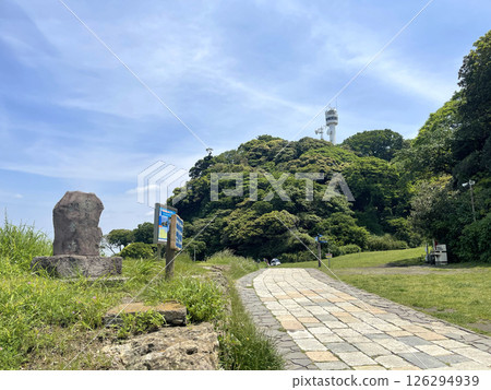 神奈川縣橫須賀市觀音崎公園 126294939