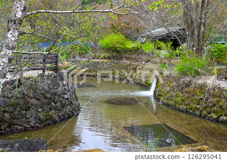 Lake Yamanaka Flower City Park view 126295041