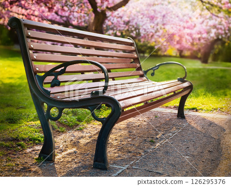 公園的長椅上 126295376