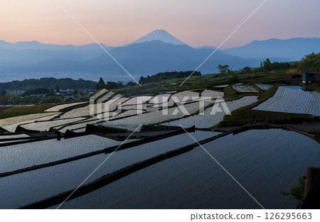 黎明時分，從南阿爾卑斯市中野的梯田上眺望富士山 126295663