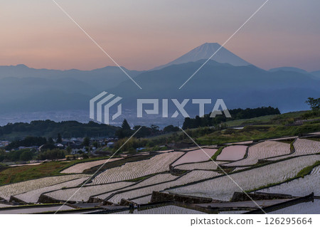 Mount Fuji at dawn from the rice terraces of Nakano, Minami-Alps City 126295664