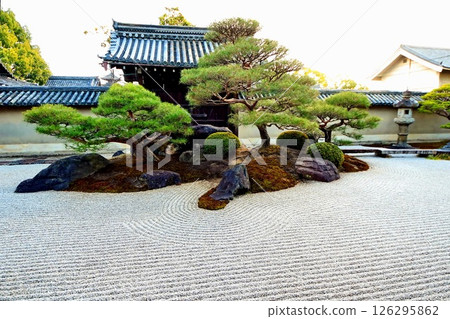 京都府，東寺甘地院，涅槃花園「長者之庭」枯山水花園，京都市南區九條町，2022 年 2 月 126295862
