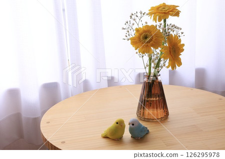 三株非洲菊 126295978