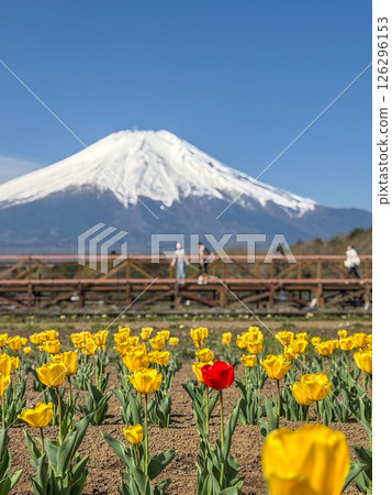 Muketsuki Fuji 126296153