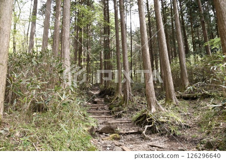 Kintoki mountain climbing Kintoki mountain climbing 126296640