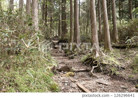 Kintoki mountain climbing 126296641