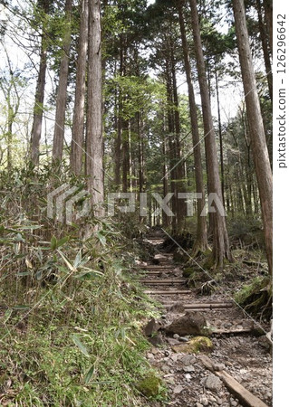 金時登山 126296642