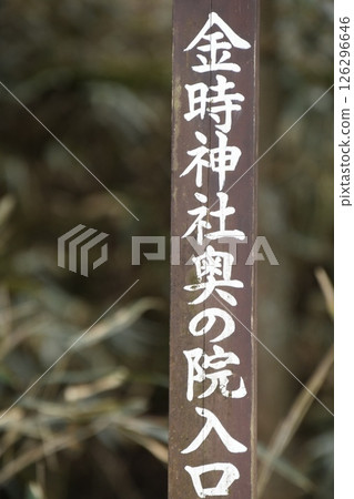 Climbing Mount Kintoki: Entrance to the inner sanctuary of Kintoki Shrine 126296646