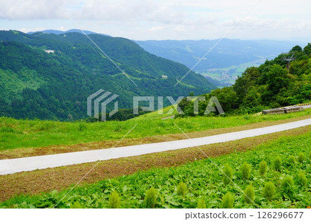 The bobsleigh course at the top of the mountain. A beautiful view from Alp Village, at the end of the ropeway at Yuzawa Highlands in Niigata Prefecture. 126296677
