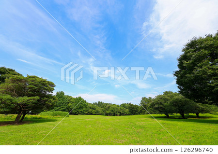 Refreshing blue sky and fresh green Refreshing blue sky and fresh green 126296740