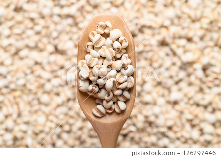Dried Job's tears or adlay millet seeds in wooden scoop, Food ingredient, Top view 126297446