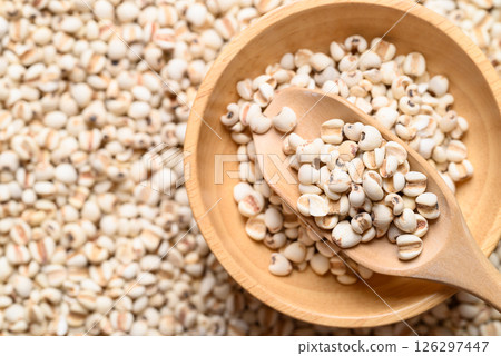 Dried Job's tears or adlay millet seeds in wooden bowl with scoop, Food ingredient, Top view Dried Job's tears or adlay millet seeds in wooden bowl with scoop, Food ingredient, Top view 126297447