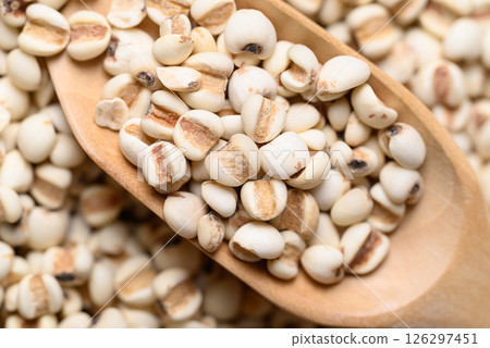 Dried Job's tears or adlay millet seeds in wooden scoop, Food ingredient, Top view 126297451