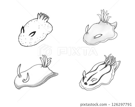 海蛞蝓單色插圖集 126297791