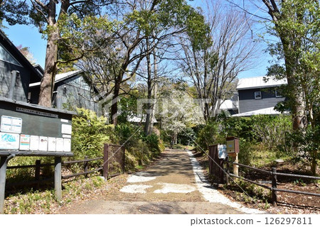 橫濱市兒童自然公園青少年戶外活動中心和新鮮的綠地 126297811