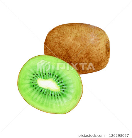 Kiwi fruit cross section watercolor illustration 126298057