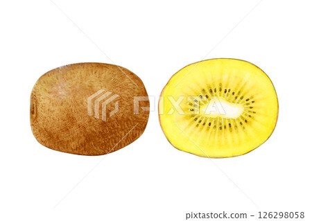黃金獼猴桃橫切面水彩插圖 126298058