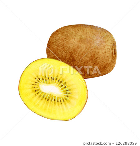 Gold kiwi fruit cross section watercolor illustration 126298059