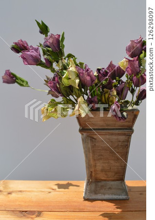 Dried Christmas rose flowers and a tin container 126298097