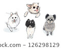 各種狗狗姿勢套裝（吉娃娃、史匹茲犬、博美犬、蓬蓬犬） 126298129