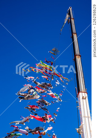 Tomachi Junior High School's Crane Carp Streamer [Nagasaki City] 126298629