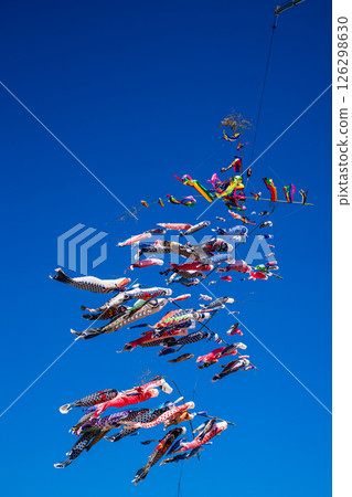 Tomachi Junior High School's Crane Carp Streamer [Nagasaki City] 126298630