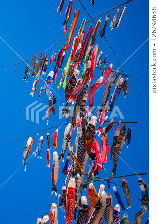 Tomachi Junior High School's Crane Carp Streamer [Nagasaki City] 126298638