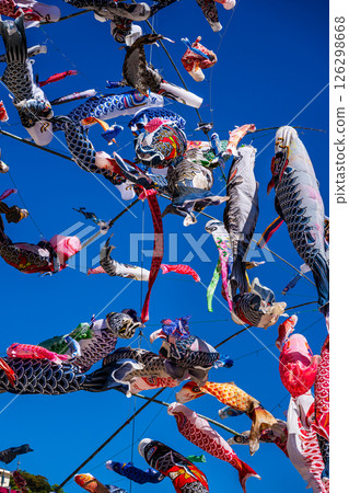 Tomachi Junior High School's Crane Carp Streamer [Nagasaki City] 126298668