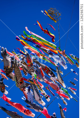 Tomachi Junior High School's Crane Carp Streamer [Nagasaki City] 126298701