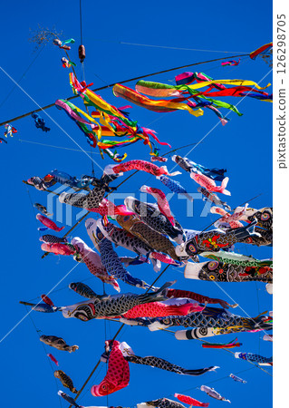Tomachi Junior High School's Crane Carp Streamer [Nagasaki City] 126298705