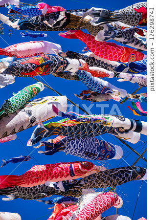 Tomachi Junior High School's Crane Carp Streamer [Nagasaki City] 126298741