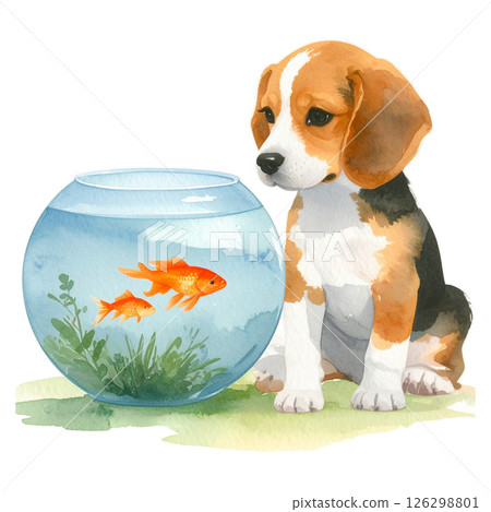 比格犬小狗看著金魚缸的復古插圖 2 / 傳單和海報材料 比格犬小狗看著金魚缸的復古插圖 2 / 傳單和海報材料 126298801