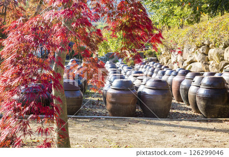 Traditional Korean soybean paste pottery 126299046