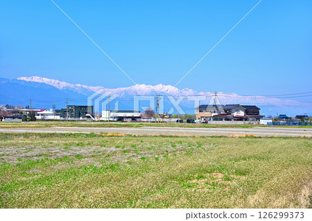 長野縣松本市：北阿爾卑斯山的春稻田與殘雪 126299373