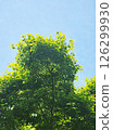 blue sky and green trees 126299930
