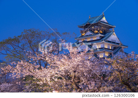 Osaka Castle Tower at night - Illuminated cherry blossoms 126300106