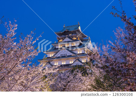 Osaka Castle Tower at night - Illuminated cherry blossoms 126300108