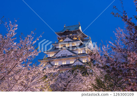 Osaka Castle Tower at night - Illuminated cherry blossoms 126300109