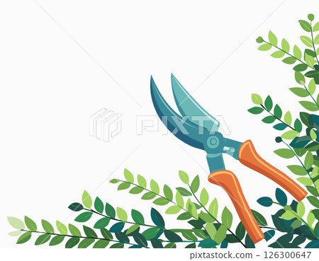 Garden shears surrounded by green leaves with clean white background and open space Garden shears surrounded by green leaves with clean white background and open space 126300647