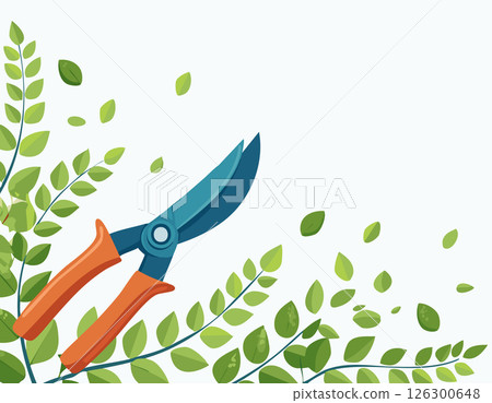 Pruning scissors placed among leafy branches with room for text on white 126300648