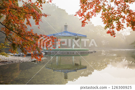 Morning view of a misty lake with red maple leaves Morning view of a misty lake with red maple leaves 126300925