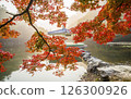 Morning view of a misty lake with red maple leaves 126300926