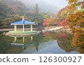 Morning view of a misty lake with red maple leaves 126300927