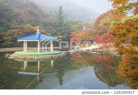 Morning view of a misty lake with red maple leaves Morning view of a misty lake with red maple leaves 126300927