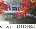 Morning view of a misty lake with red maple leaves 126300928